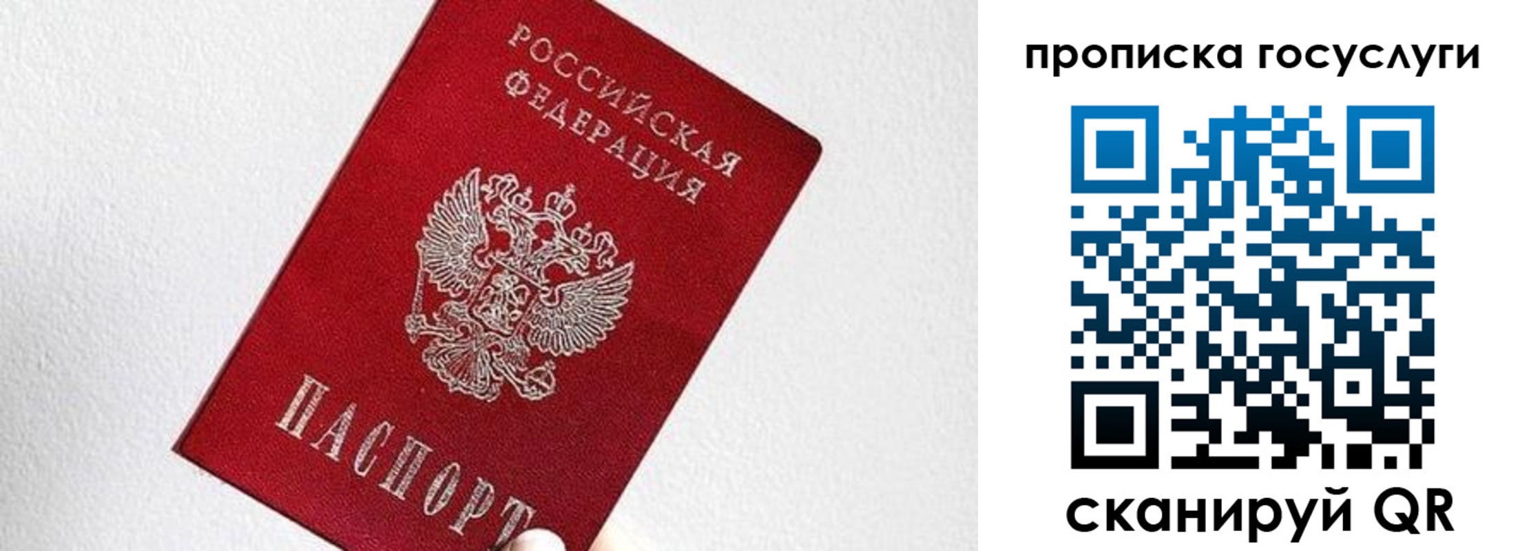 прописка законно в Медногорске